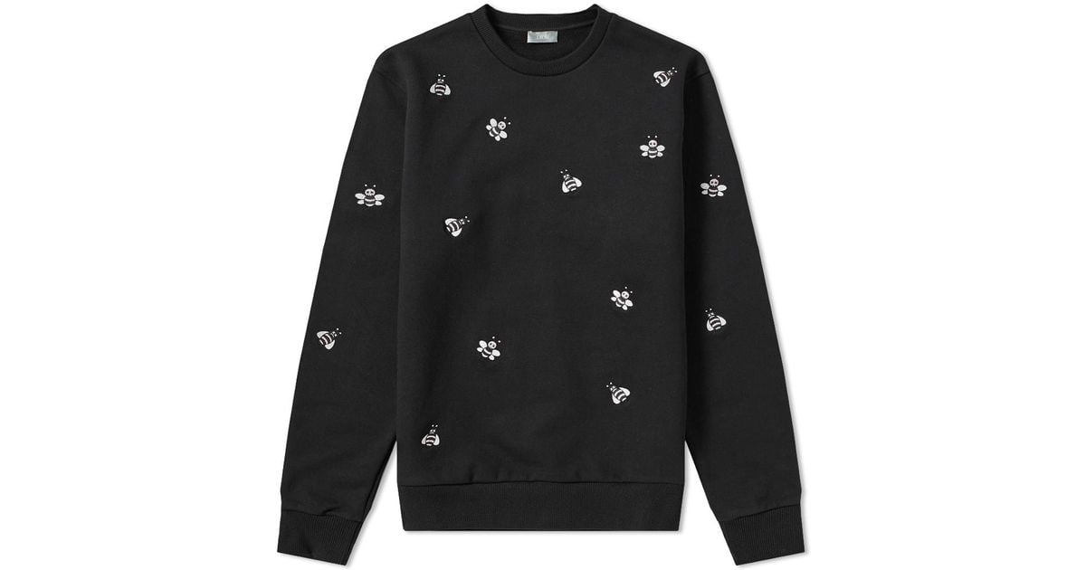 kaws dior sweatshirt