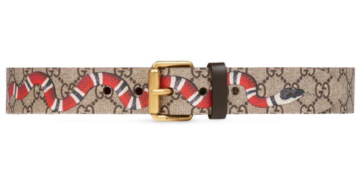 Gucci supreme belt snake outlet