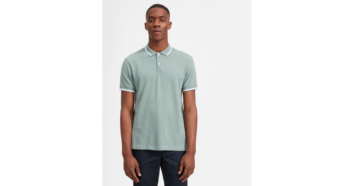 everlane polo