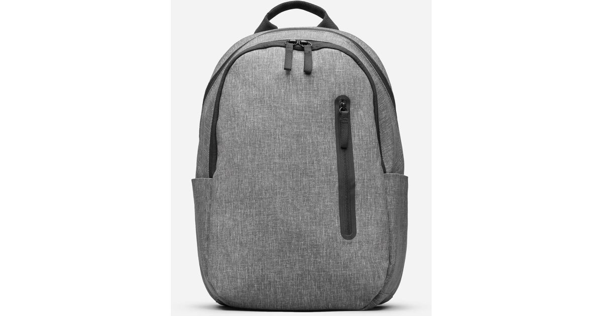 everlane backpack