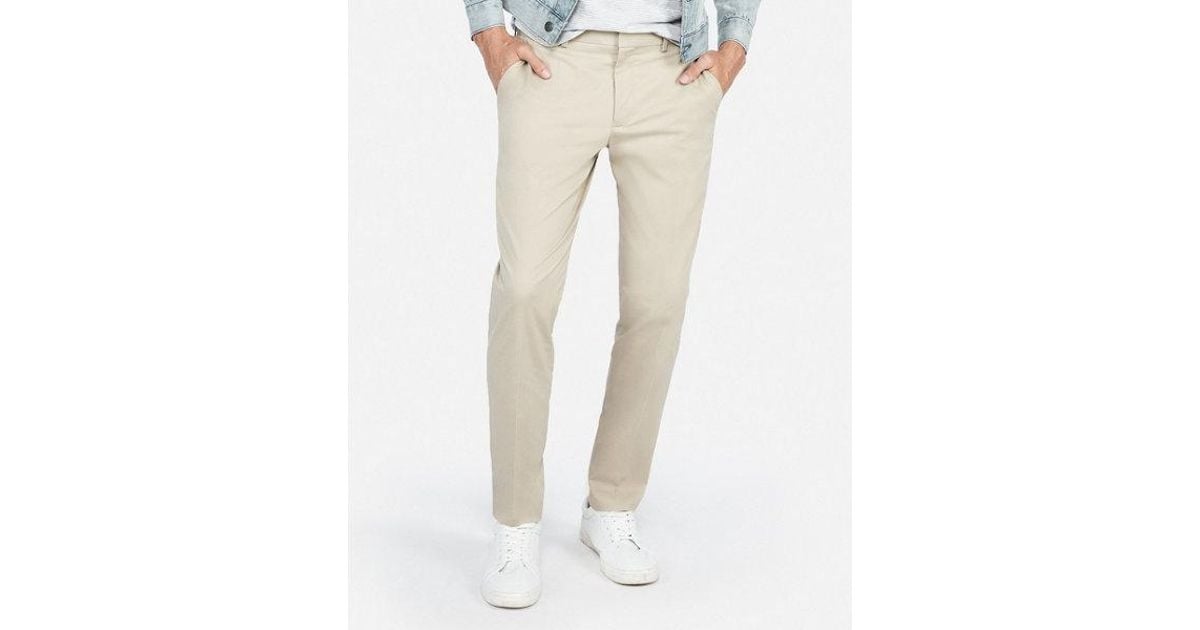 express stretch pants