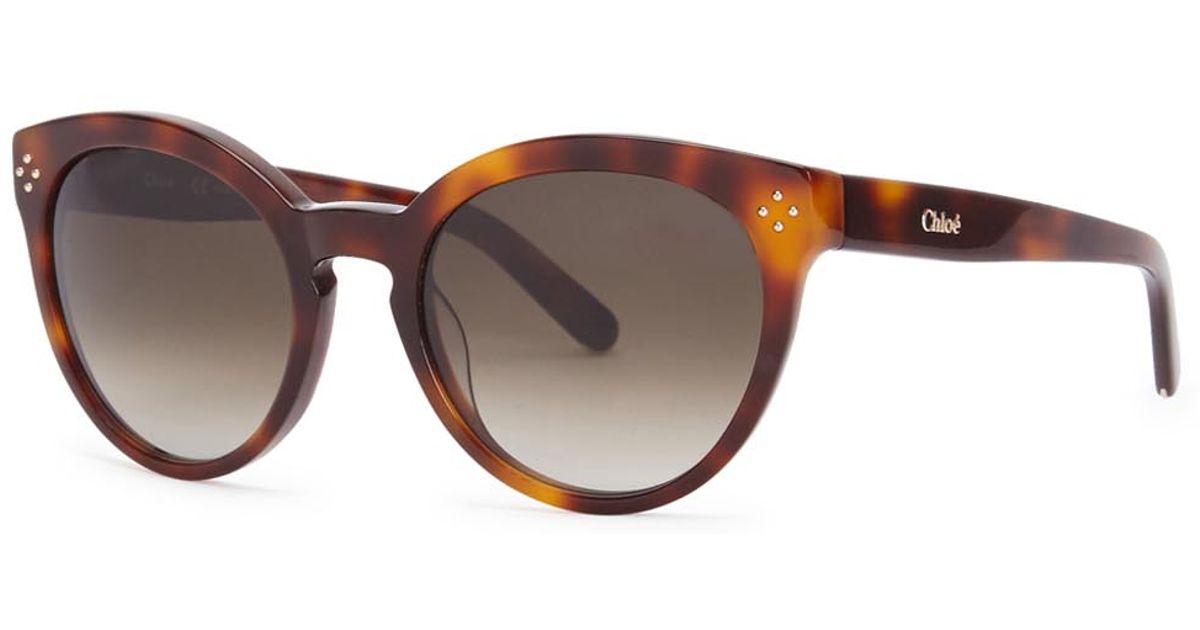 chloe tortoise shell glasses