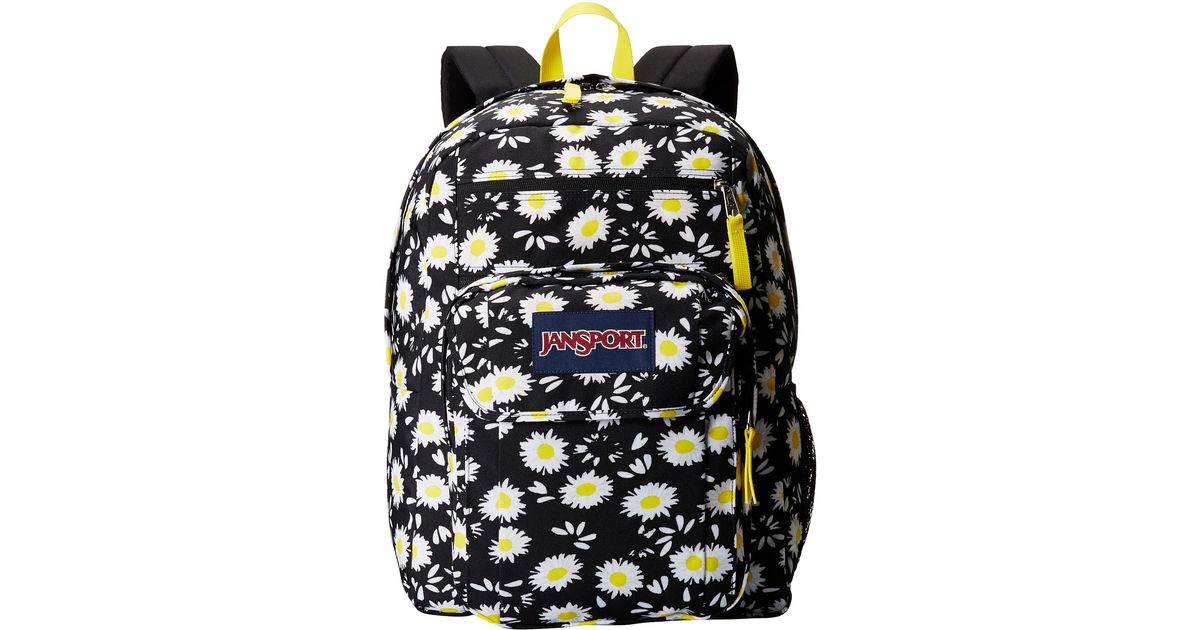 jansport daisy backpack