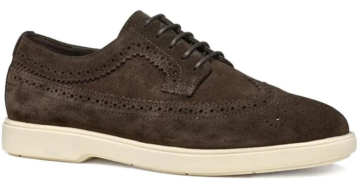 Geox Rustic stripped sued Brown Shoes Leather Sneakers GEOX Renan Brown main image 2