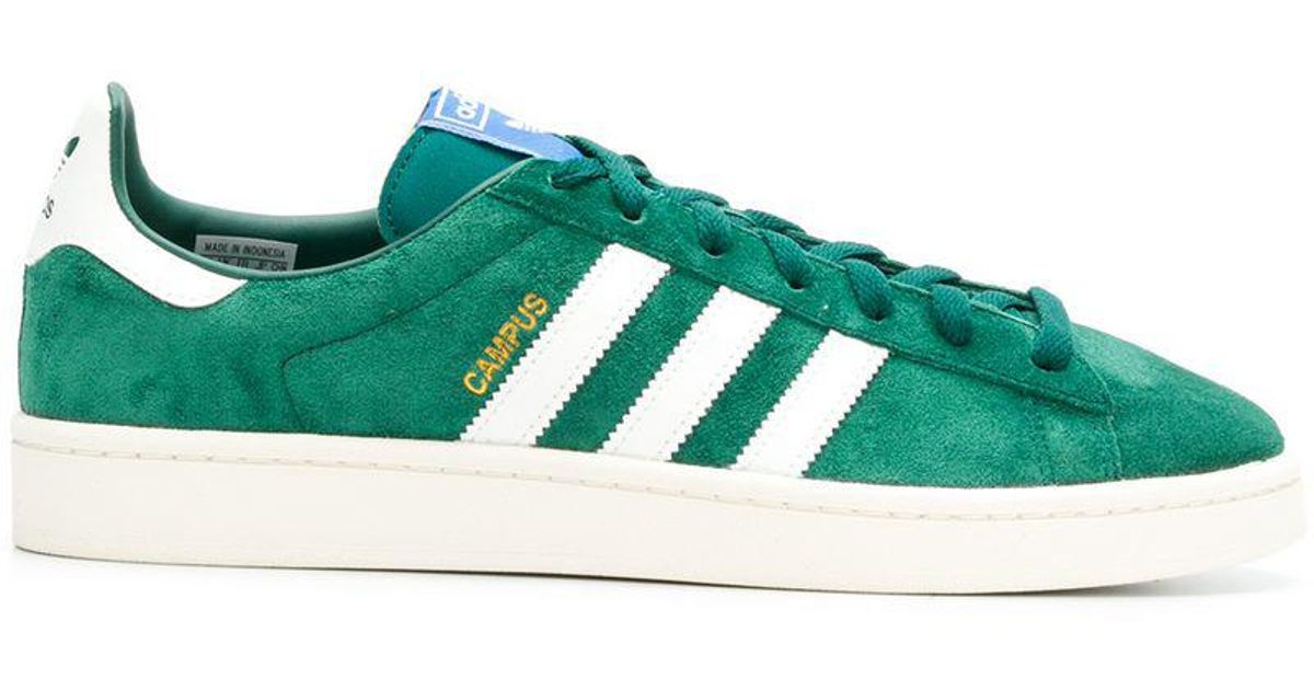 campus adidas verte