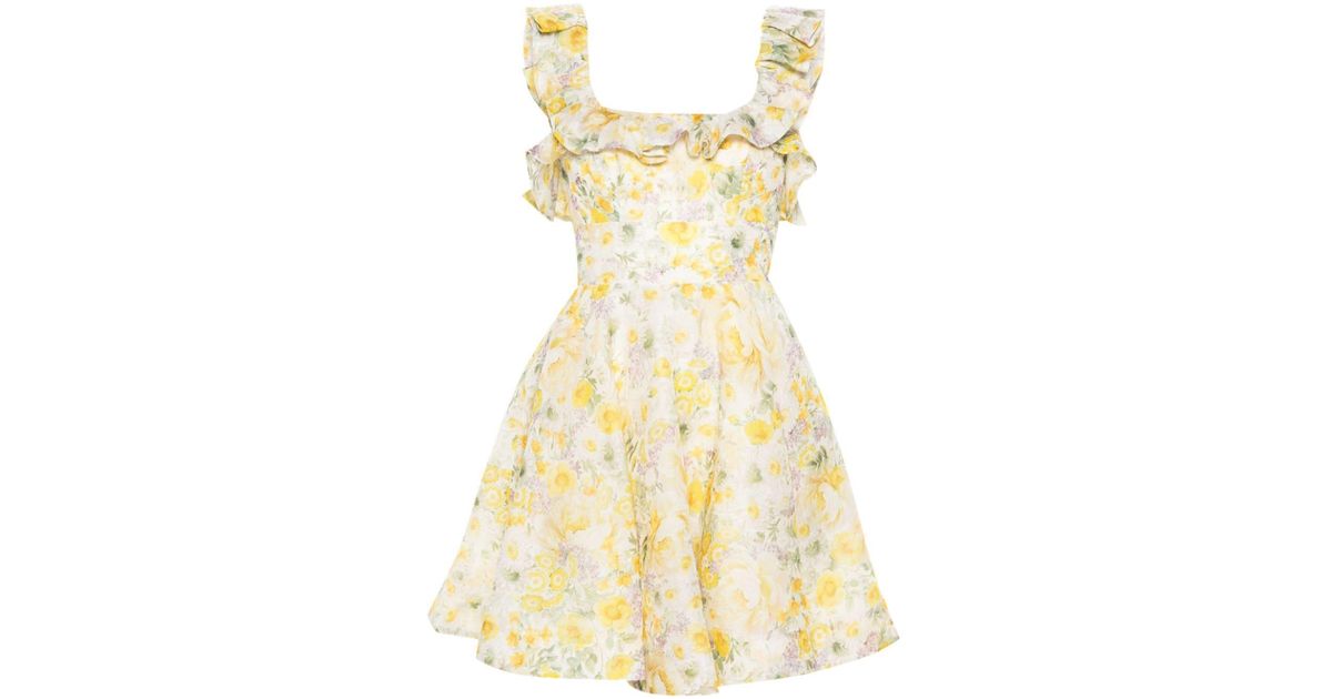 zimmermann--Harmony-Ruffled-