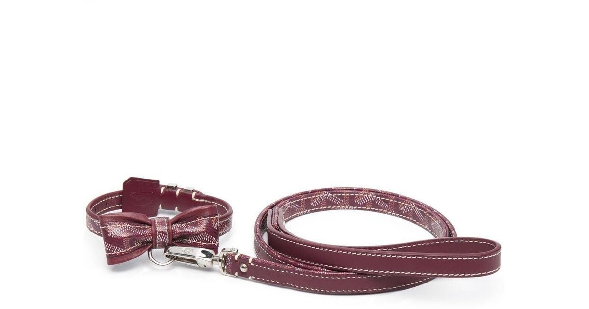 goyard leash