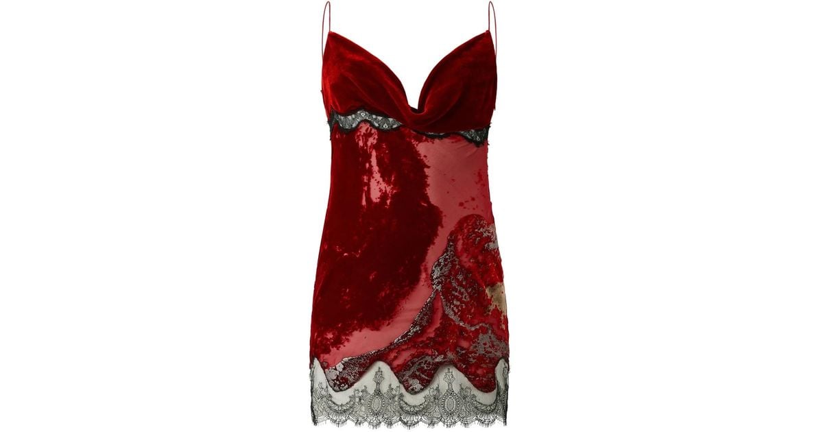 Roberto Cavalli Velvet Devore Lace Mini Slip Dress in Red | Lyst Australia