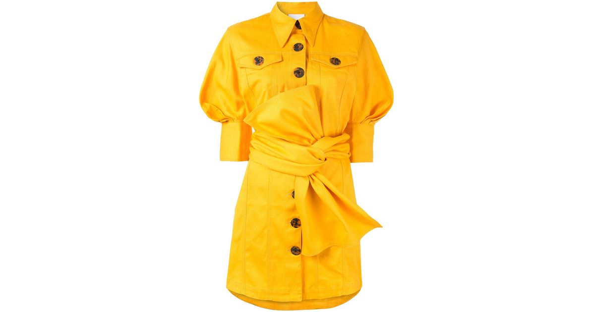 acler priestly denim dress