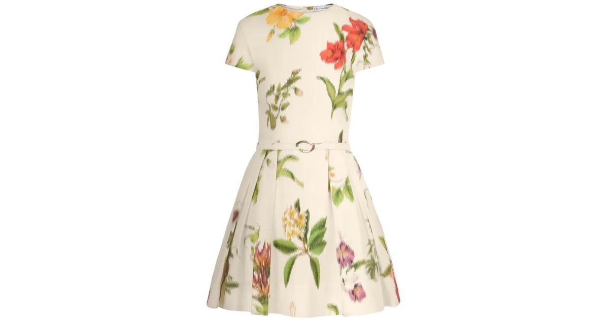 Dominican Robe Oscar de la Renta Chiné Dominican Mixed-floral Cotton Poplin Dress in ...