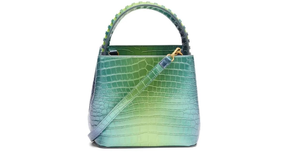 Roberto Cavalli Roar Hobo Tote Bag in Green | Lyst
