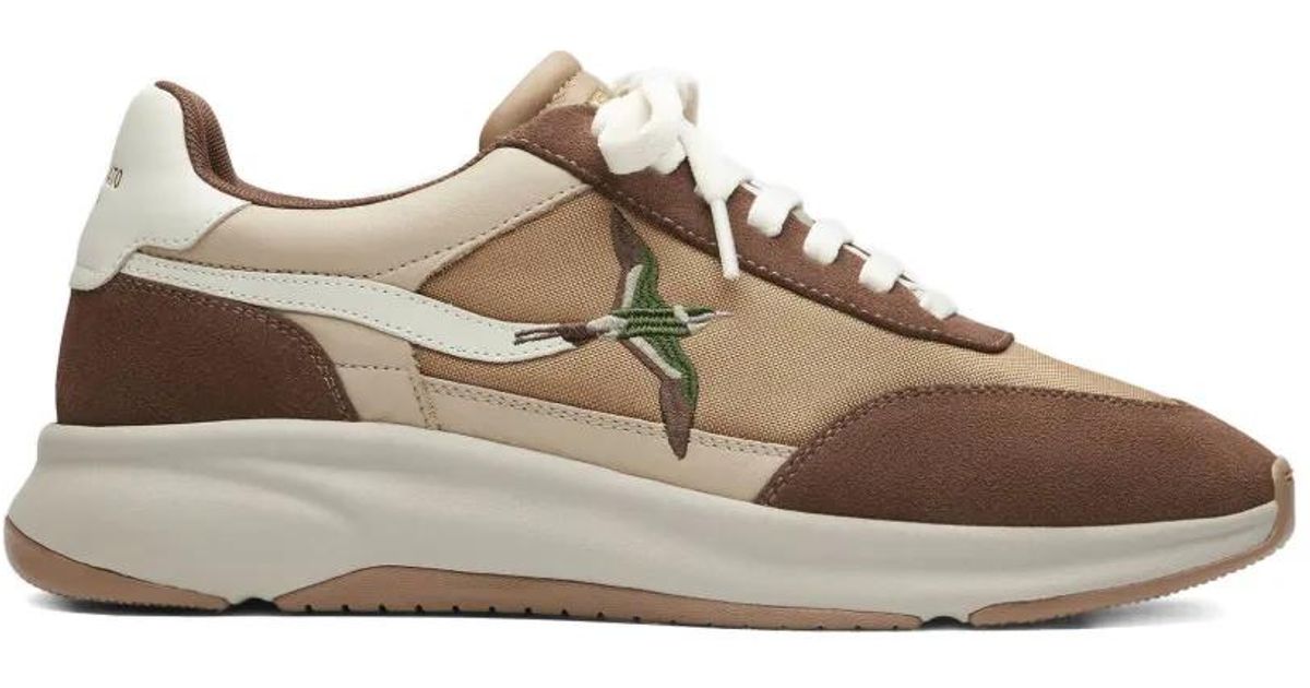 Axel Arigato Genesis Neo Bird Runner Sneakers in Brown for Men | Lyst