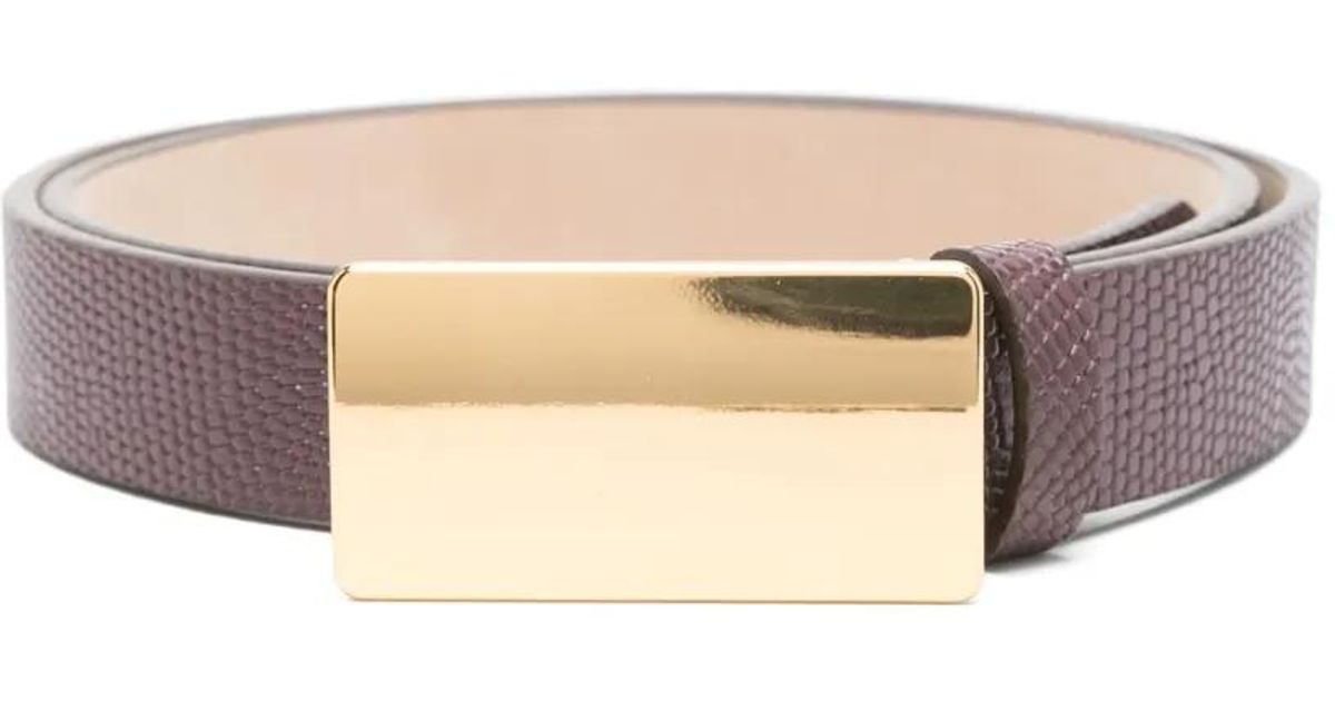 Heaven Mayhem Plate Belt in Gold and Chocolate Brown Suede Leather Size Small 1 main image 3