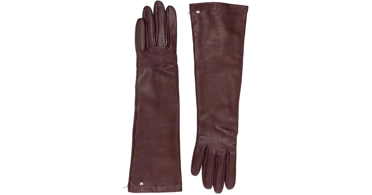 Max Mara Afidee Long Gloves 2524566013600 004