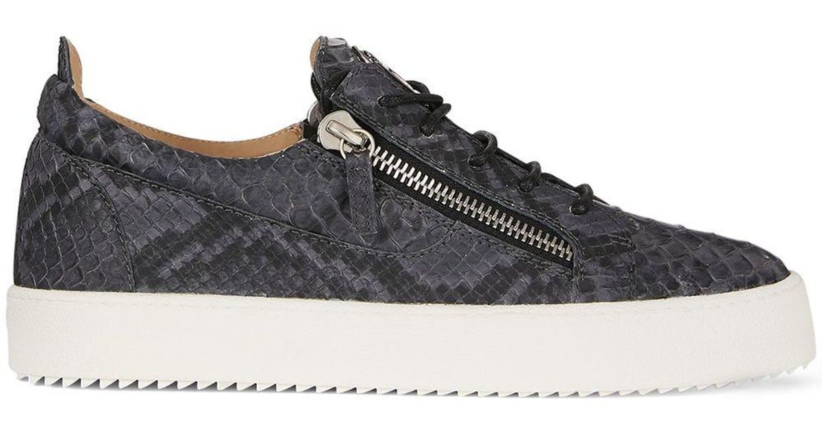 Giuseppe Zanotti Leather Frankie Python-print Sneakers in Grey (Gray) for  Men - Save 17% - Lyst