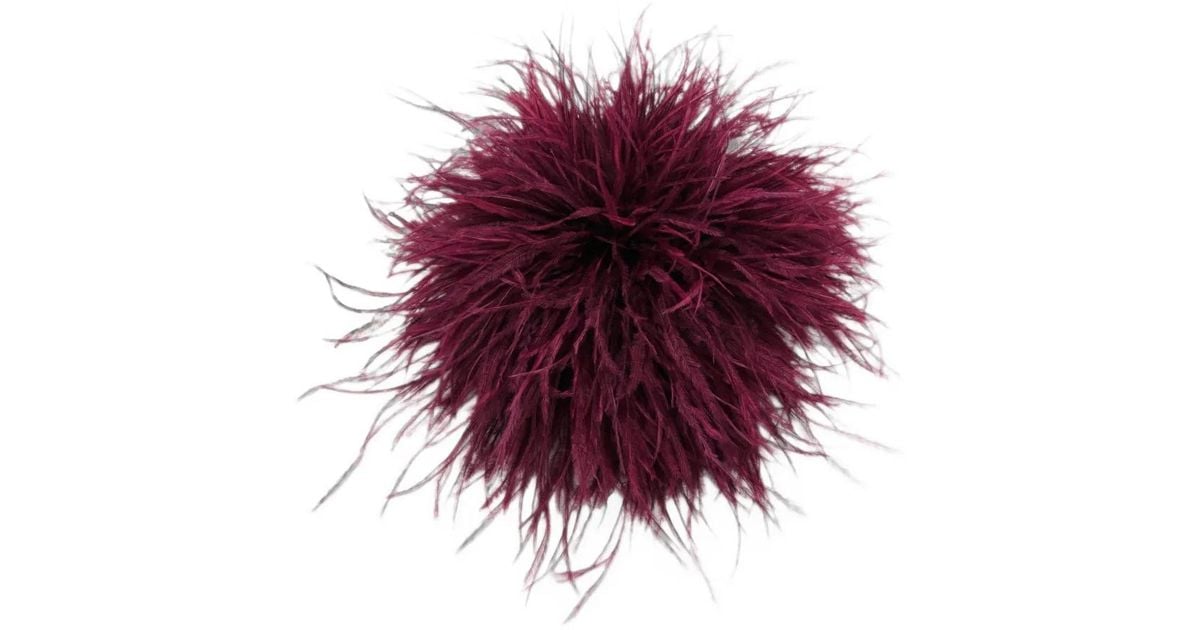Essentiel Antwerp Kurdy Ostrich-Feather Brooch in Purple | Lyst