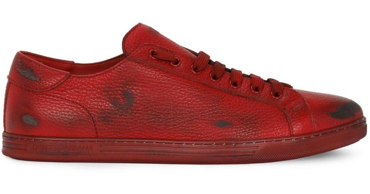 dolce and gabbana sneaker bassa