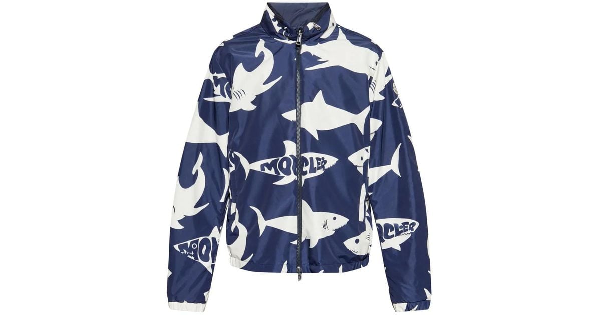 moncler-blue-Shark-Print-