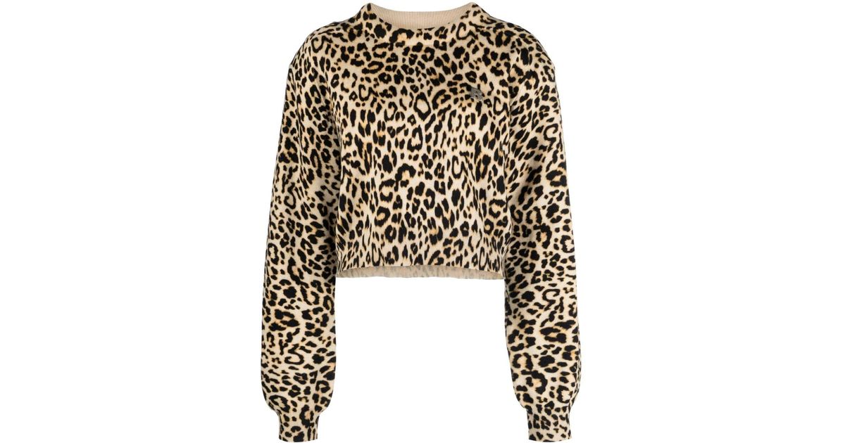 Cropped leopard shop print jumper