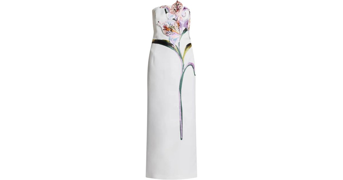 chinese dress ladies Rayna Appliqué Bustier Maxi Dress main image 0