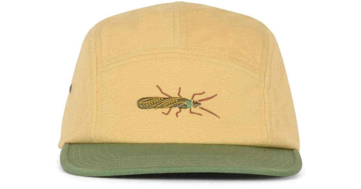 Patagonia Insect-Embroidered Five-Panel Baseball Cap in Natural for Men ...