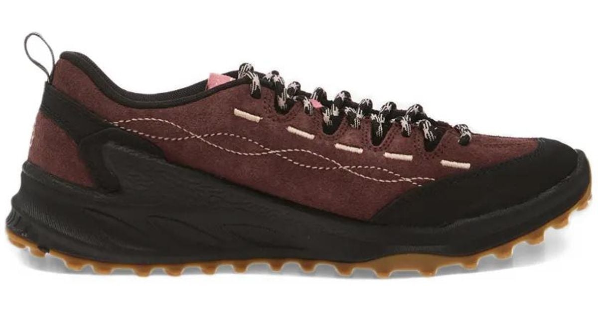 Keen Jasper Zionic Sneakers in Brown | Lyst