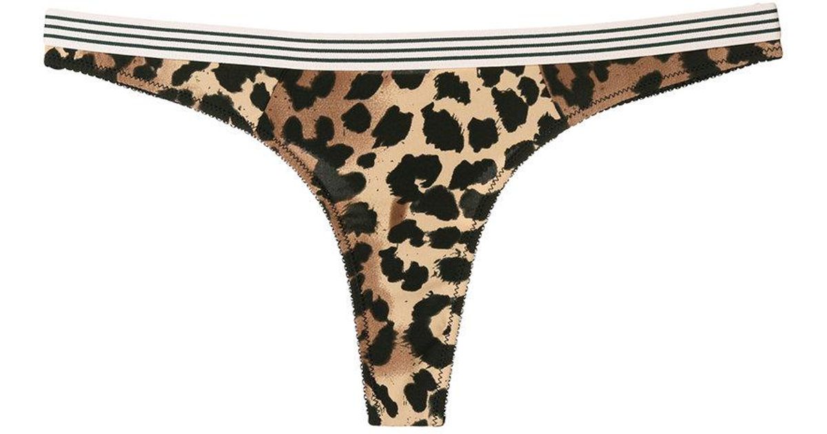 Animal Print Undies Off 63 Medpharmres Com [ 630 x 1200 Pixel ]