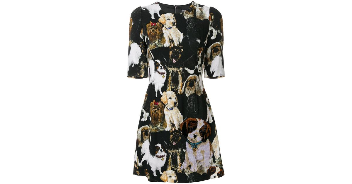 dolce and gabbana dog print dress