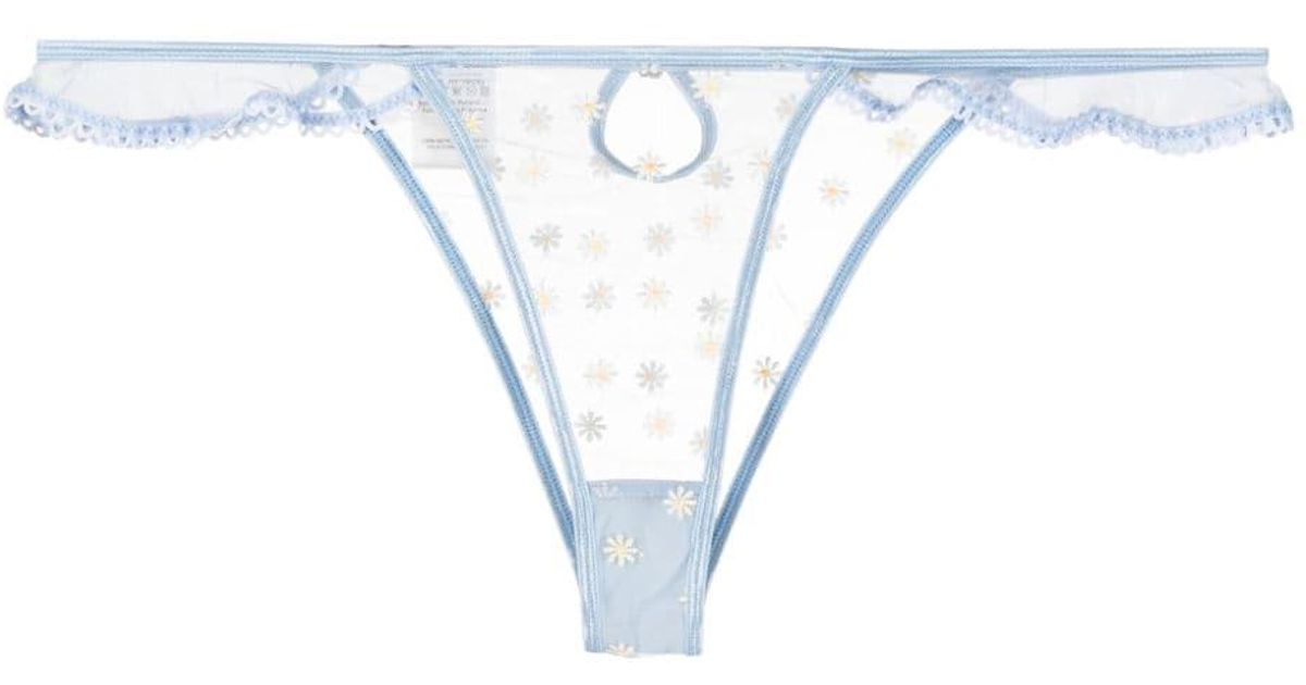 Le Petit Trou Papillon Floral-embroidered Sheer Tulle Thong in White | Lyst
