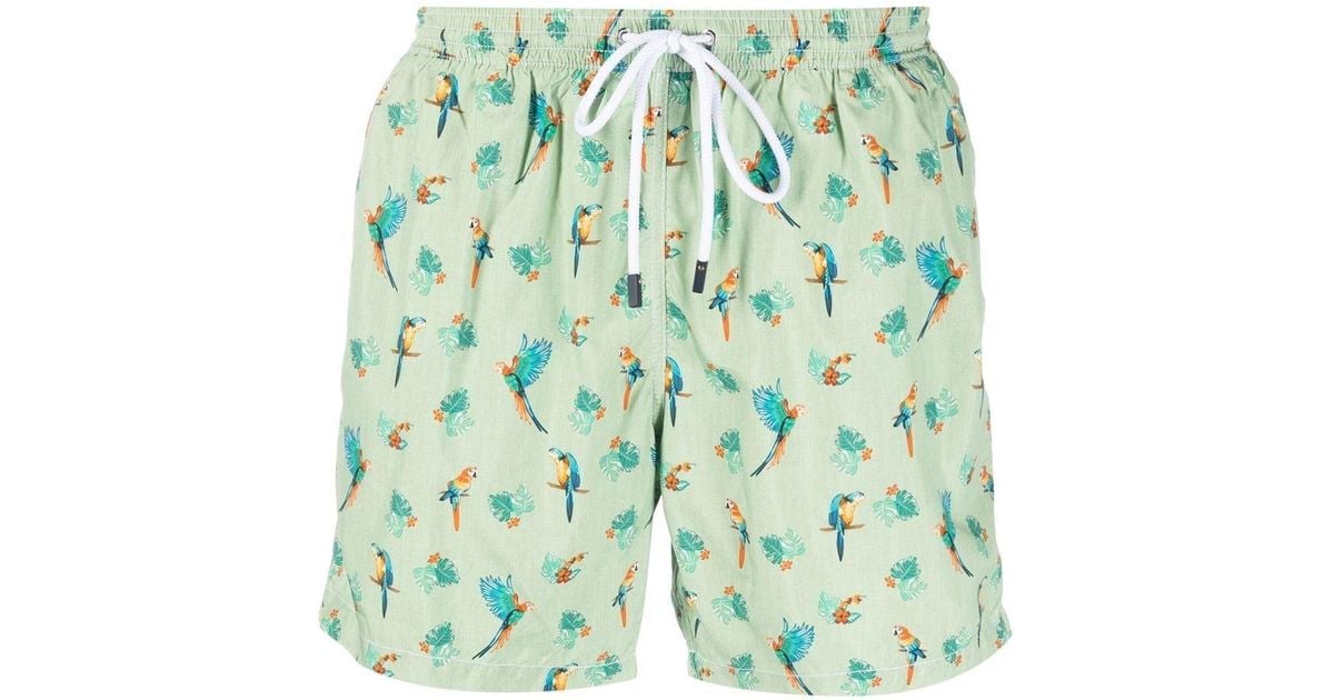 Barba Bird-print Swim Shorts in Green for Men | Lyst