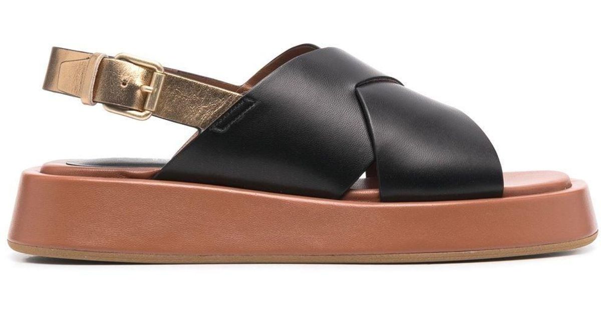 Roberto Festa Bisa Flat Sandals in Black | Lyst UK