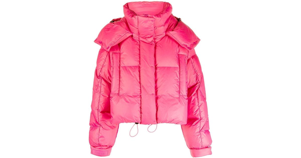 Bacon Padded Funnel Neck Jacket in Pink Lyst