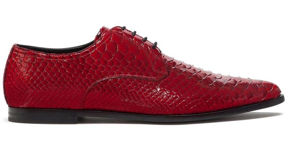 Heren Heren Schoenen voor voor Veterschoenen voor Derbyschoenen Dolce \u0026  Gabbana Leer Derby Schoenen Met Slangenleer-effect in het Zwart voor heren  allware.com.br