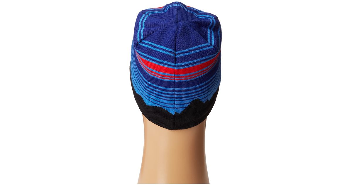 patagonia lined beanie