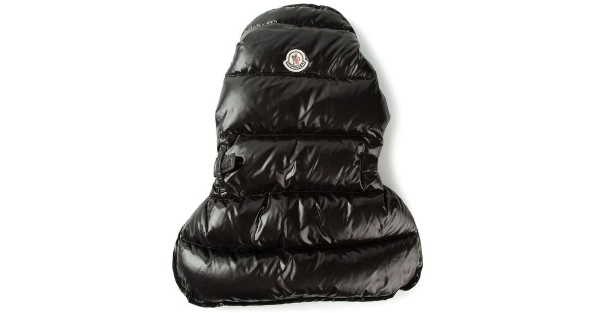 moncler jacket for dogs moncler jacket for dogs