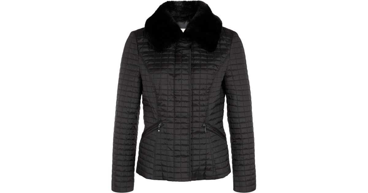 precis coats sale