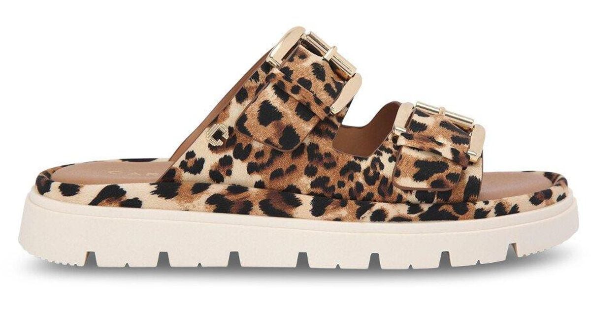 carvela kurt geiger uk