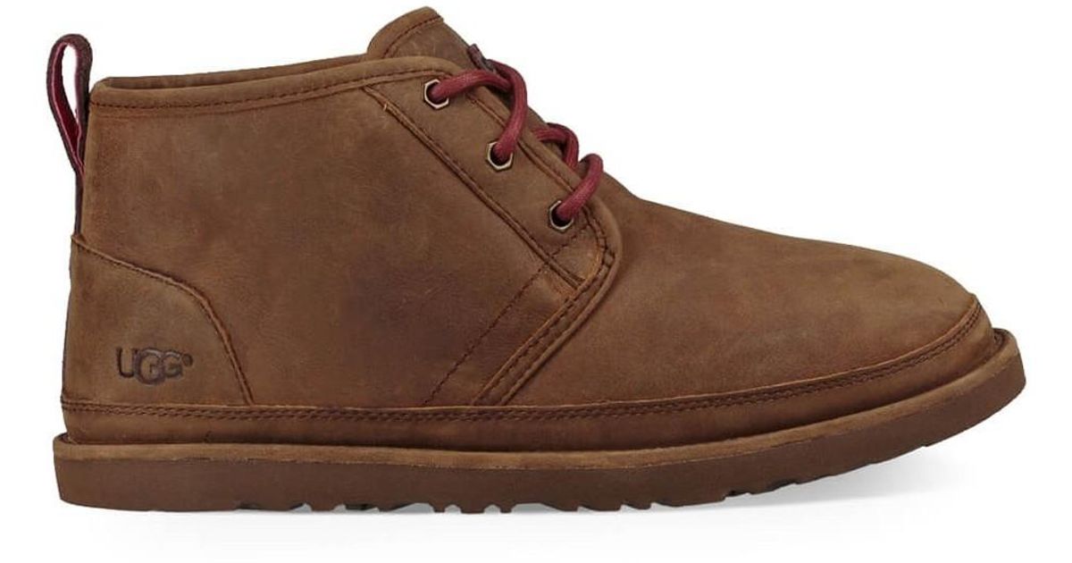 neumel uggs brown