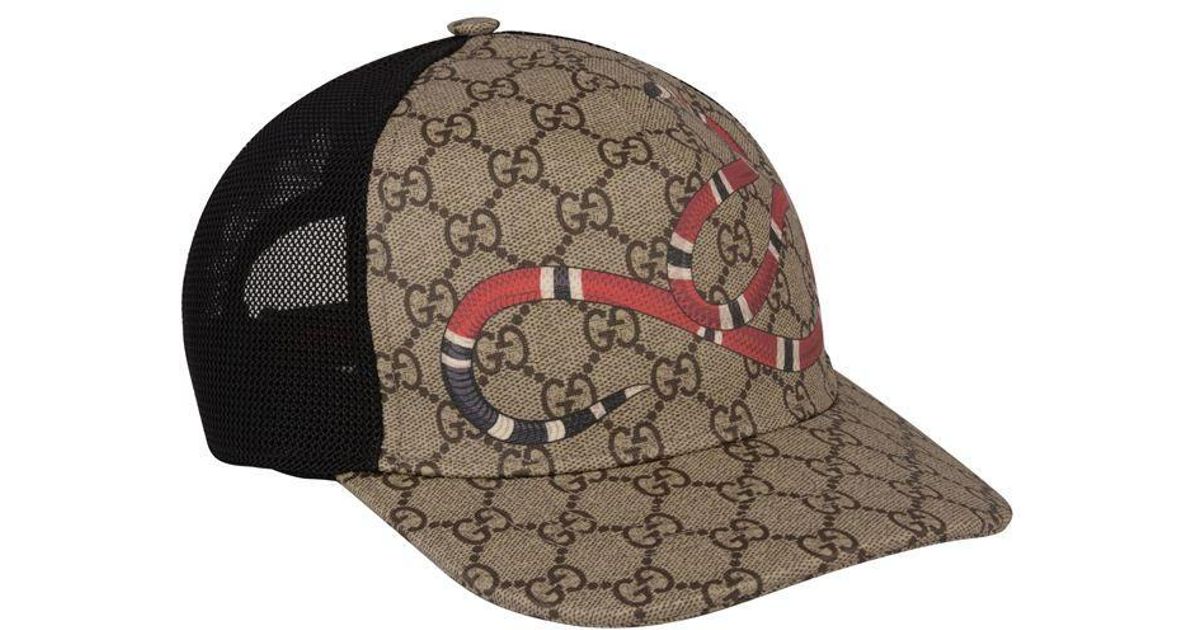 Gucci Canvas Snake Supreme Cap in Brown for Men - Lyst