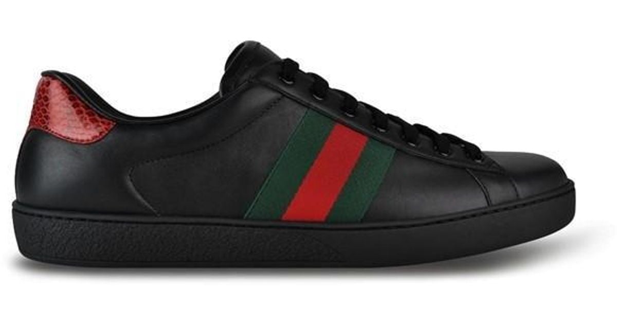 Gucci ace web trainers shop
