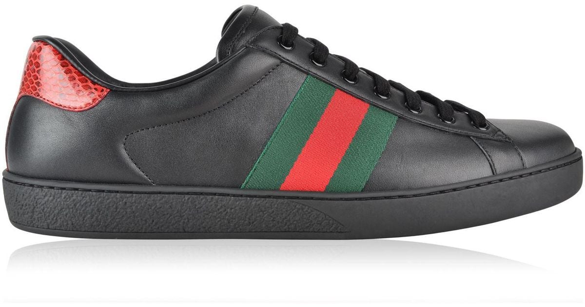 Gucci Leather New Ace Web Trainers in 