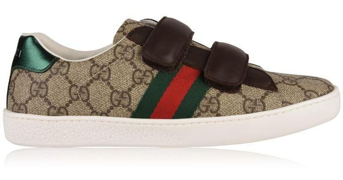 Gucci Canvas Junior Unisex New Ace Web Trainers in Brown for Men - Lyst