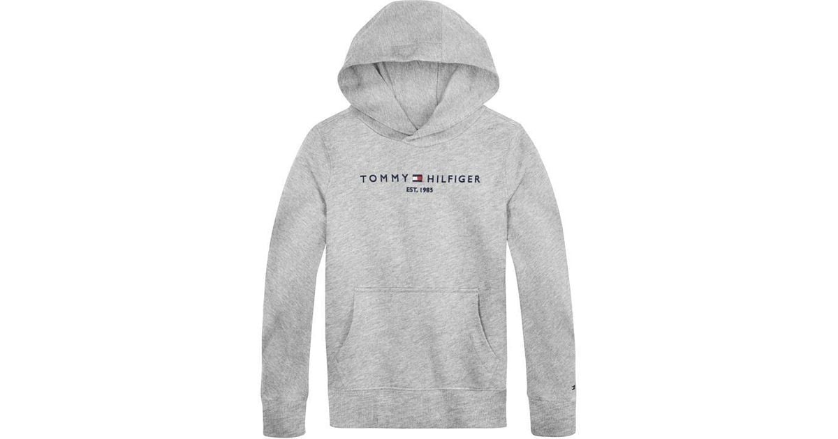 Grey hilfiger hoodie hotsell