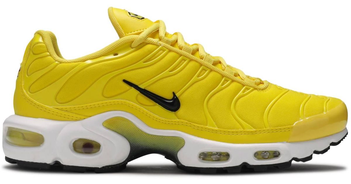 tn grey yellow