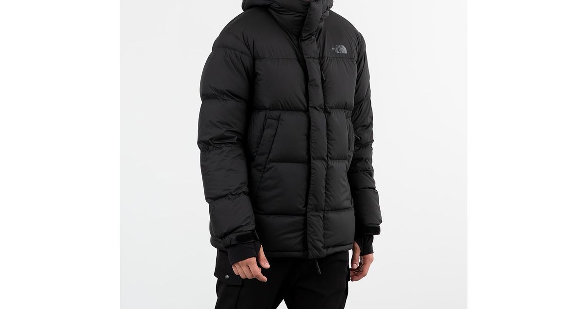 men's vistaview down coat