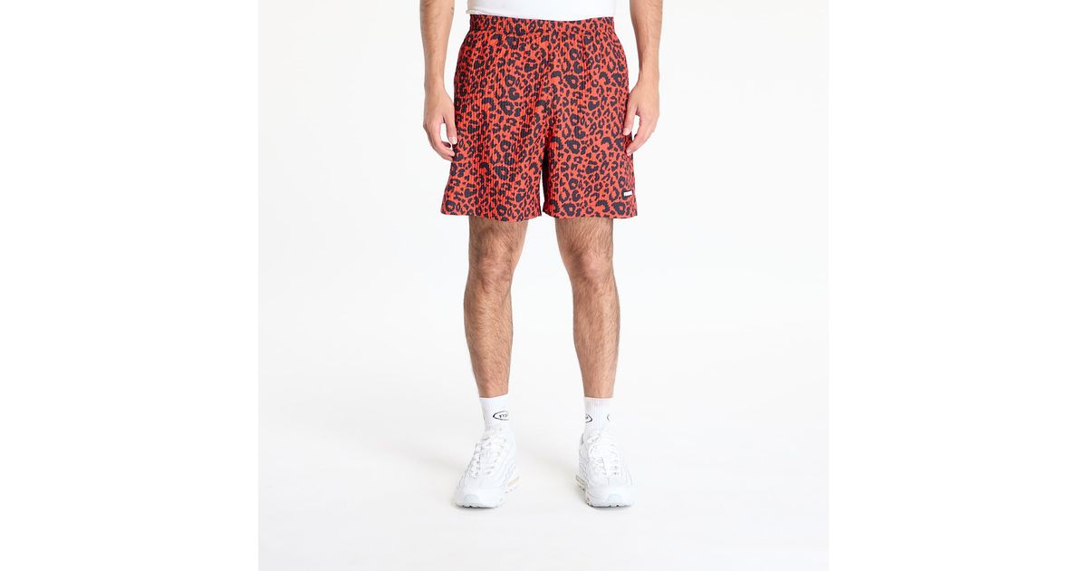 SAPEur® BASKET SHORTS Leopard Red L SAPEur
