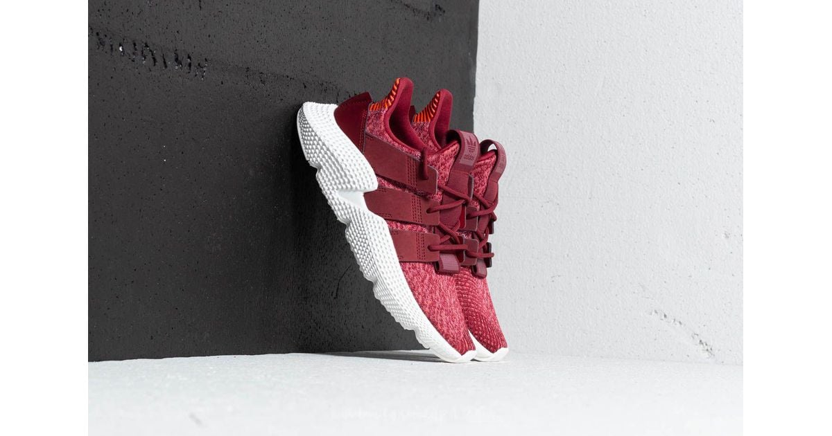 adidas prophere noble maroon