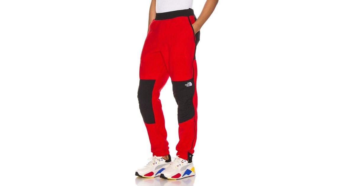 the north face 95 retro denali pants
