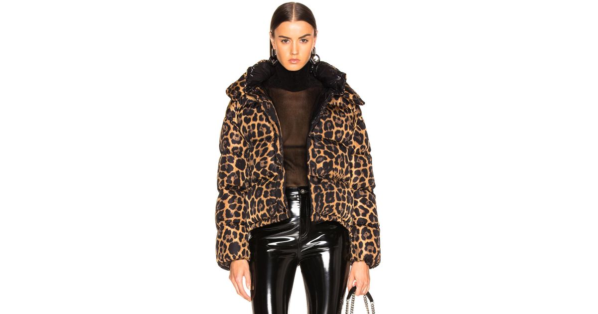 moncler caille leopard