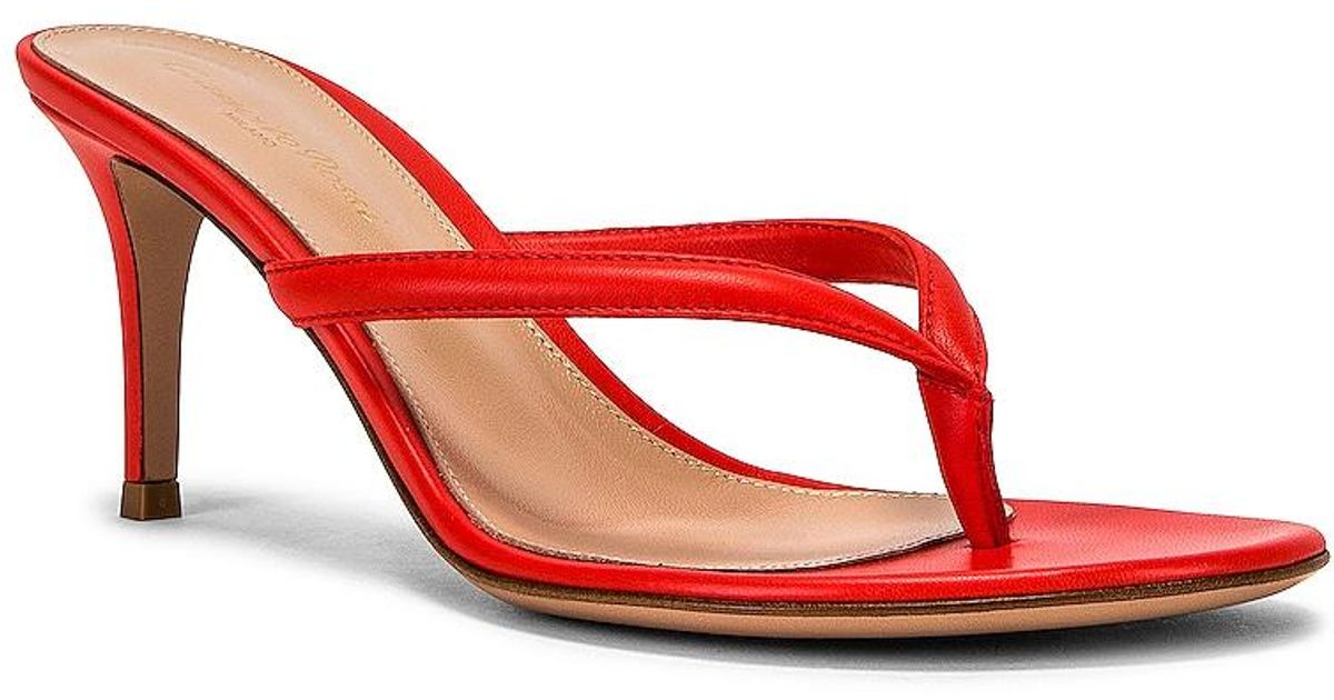 Gianvito Rossi Leather Calypso Thong 
